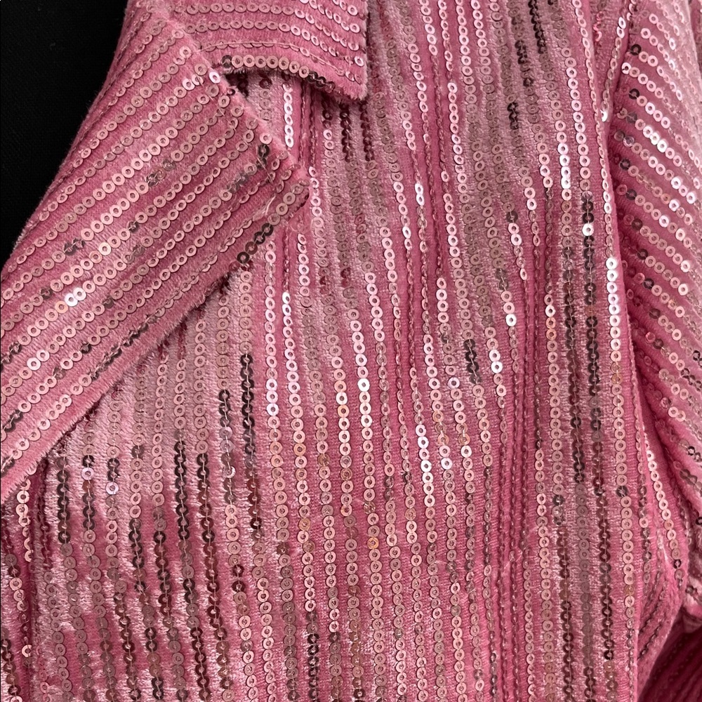 Amazon Pink Sequin Blazer Jacket - Picture 2 of 4